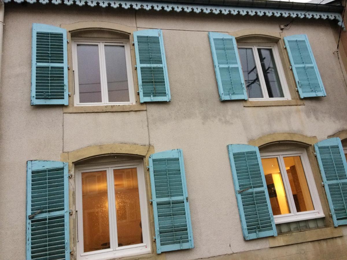 Maison Spacieuse Et Accueillante A Cirey-Sur-Vezouze + Jardin エクステリア 写真