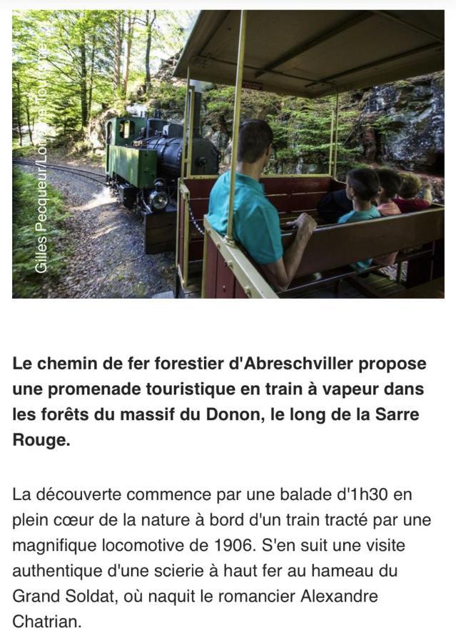Maison Spacieuse Et Accueillante A Cirey-Sur-Vezouze + Jardin エクステリア 写真