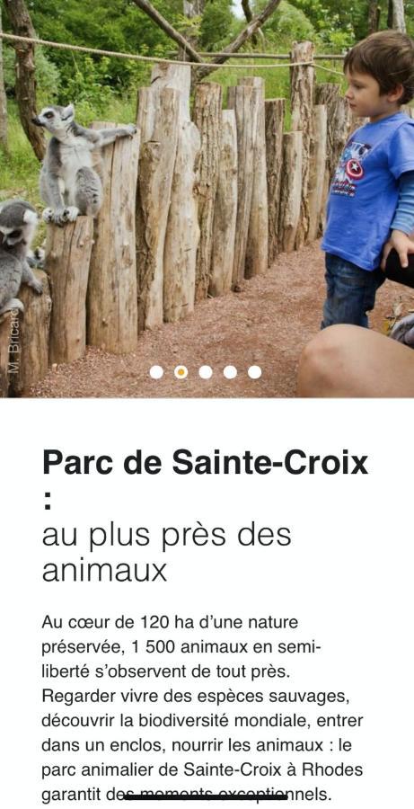 Maison Spacieuse Et Accueillante A Cirey-Sur-Vezouze + Jardin エクステリア 写真